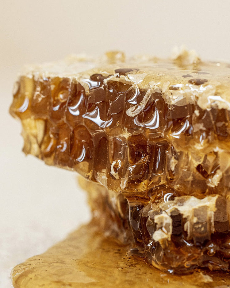 Propolis